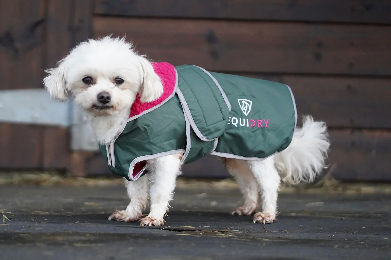Waterproof Dog Coat | Black Forest Green/Peacock Pink - Image 3