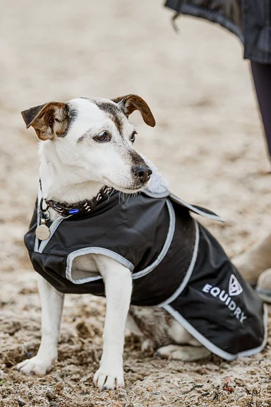 Waterproof Dog Coat | Black/Grey - Image 3