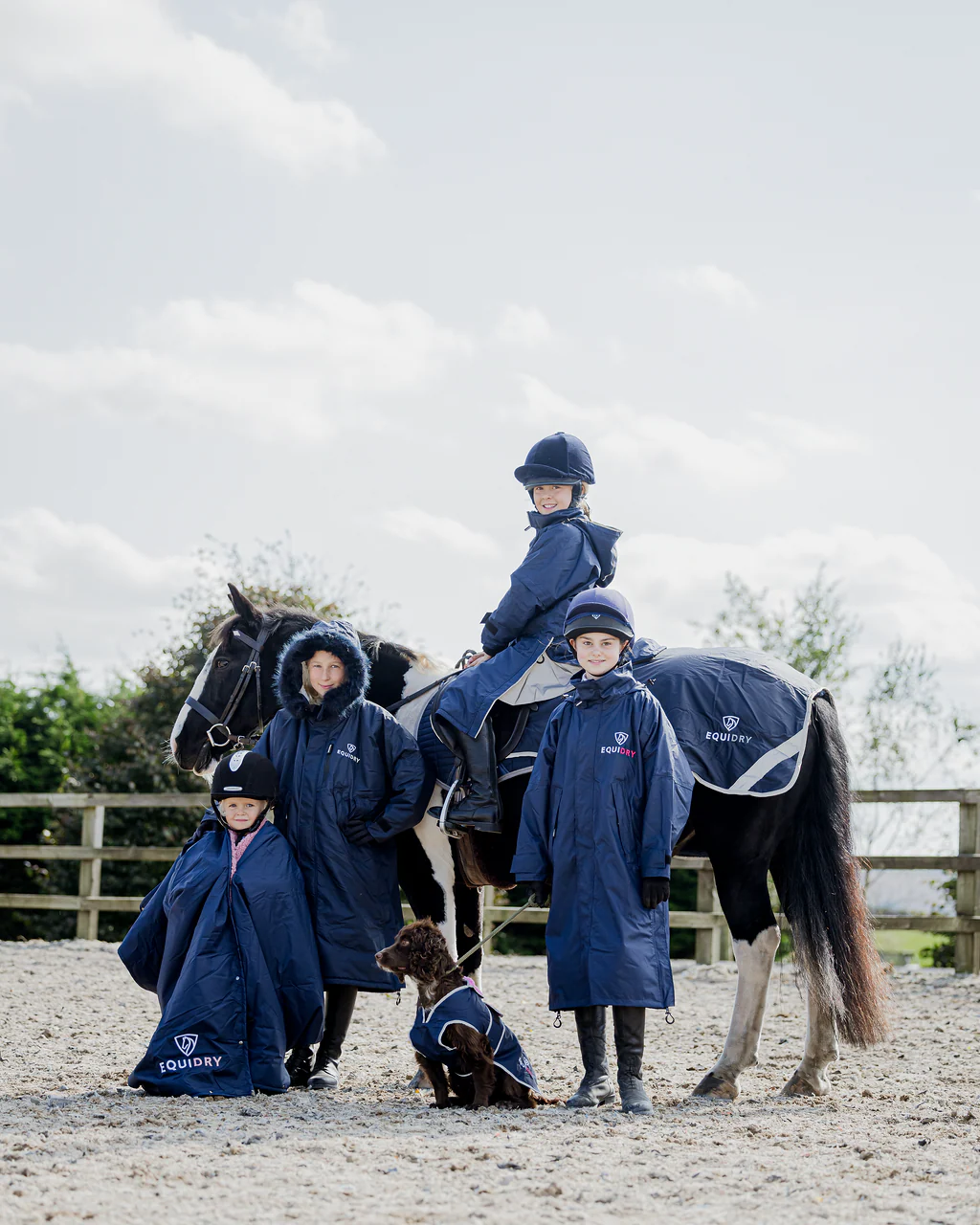 Waterproof Dog Coat | Navy/Pale Pink - Image 3
