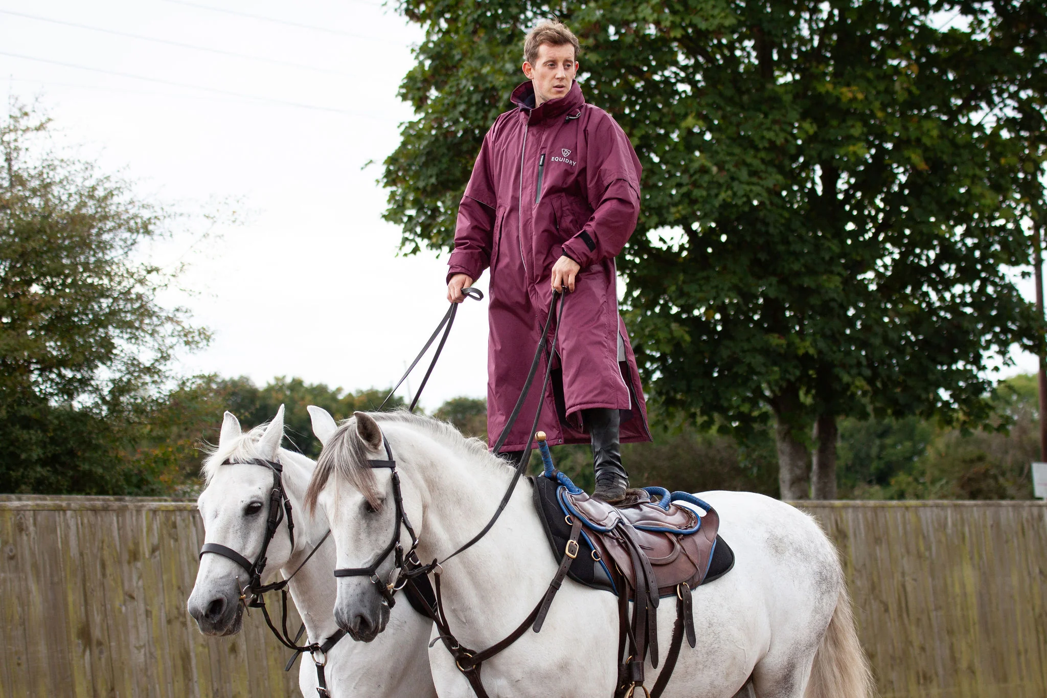Evolution Men's | Thin Fleece | Reflective | Plum - Image 2