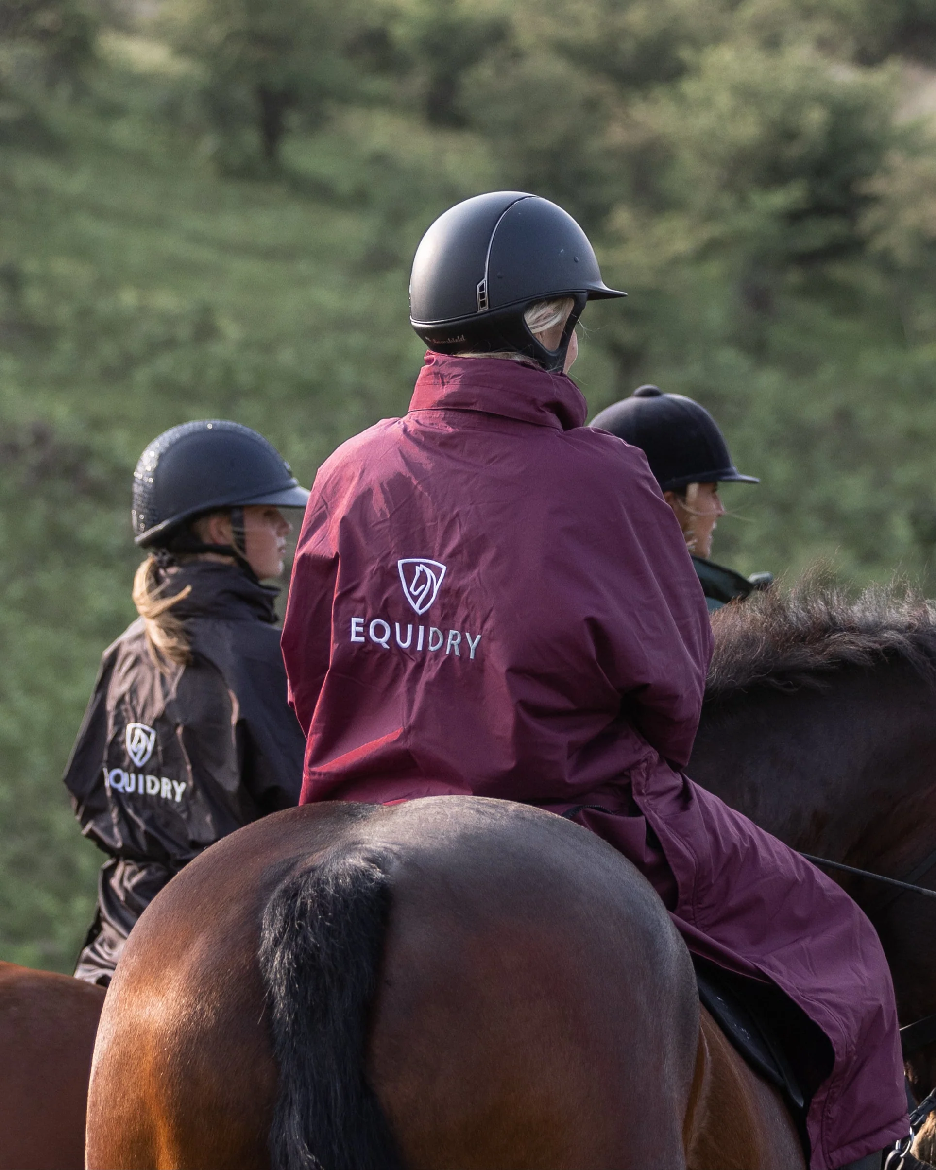 Evolution Women's | Thin Fleece | Plum/Plum - Image 9