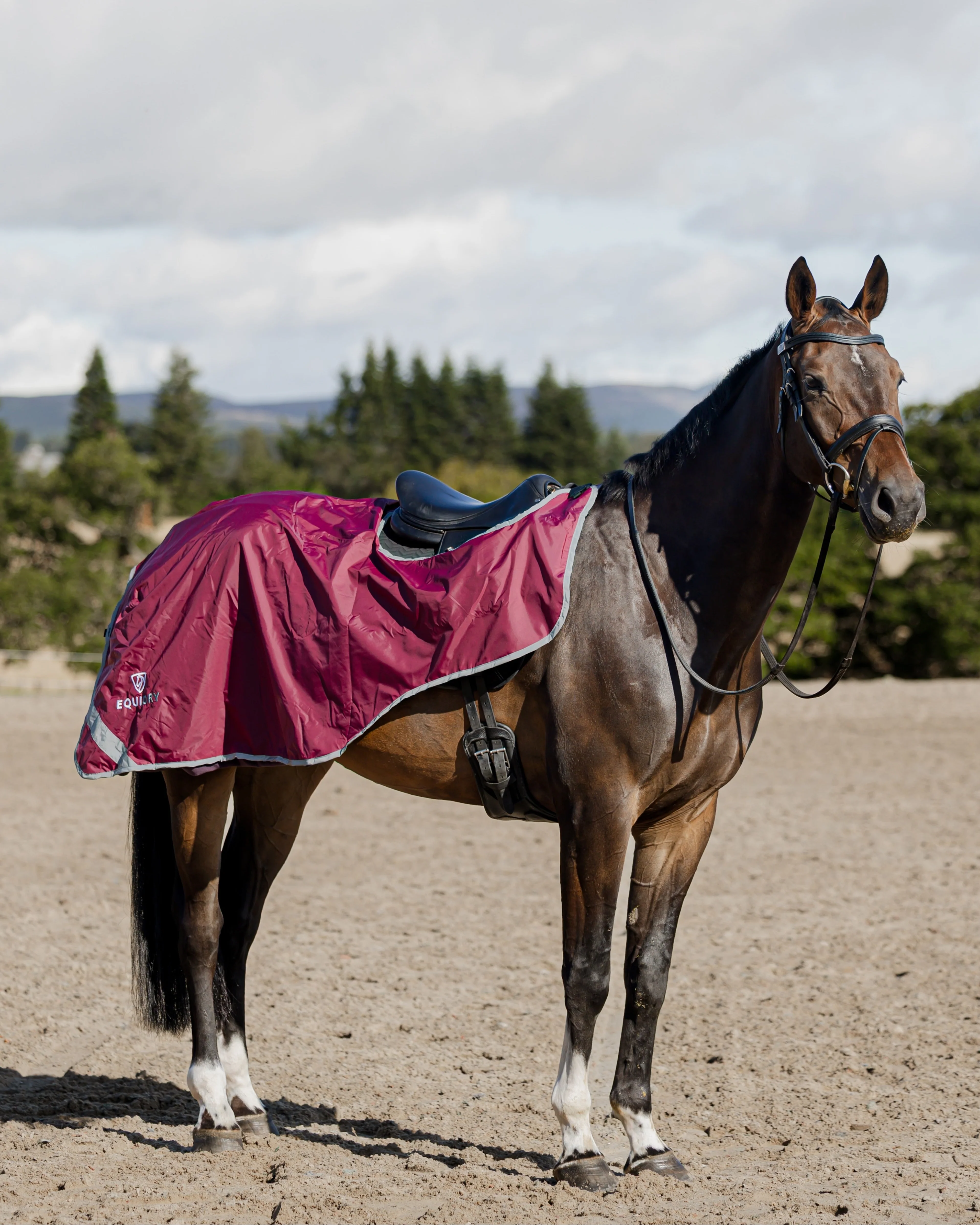 Waterproof Exercise Sheet Thick | Plum/Grey - Image 2